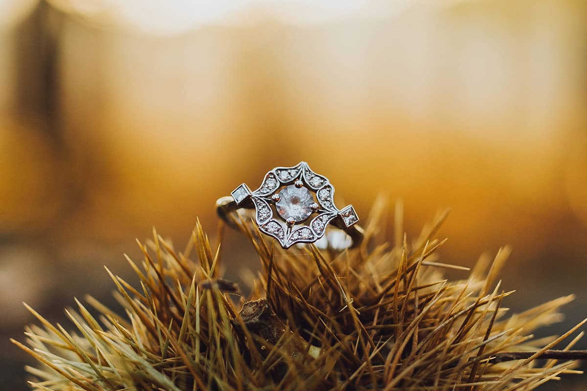 engagement ring in forest