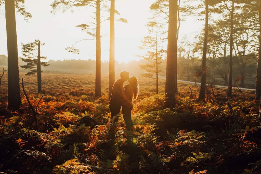 New Forest Engagement session